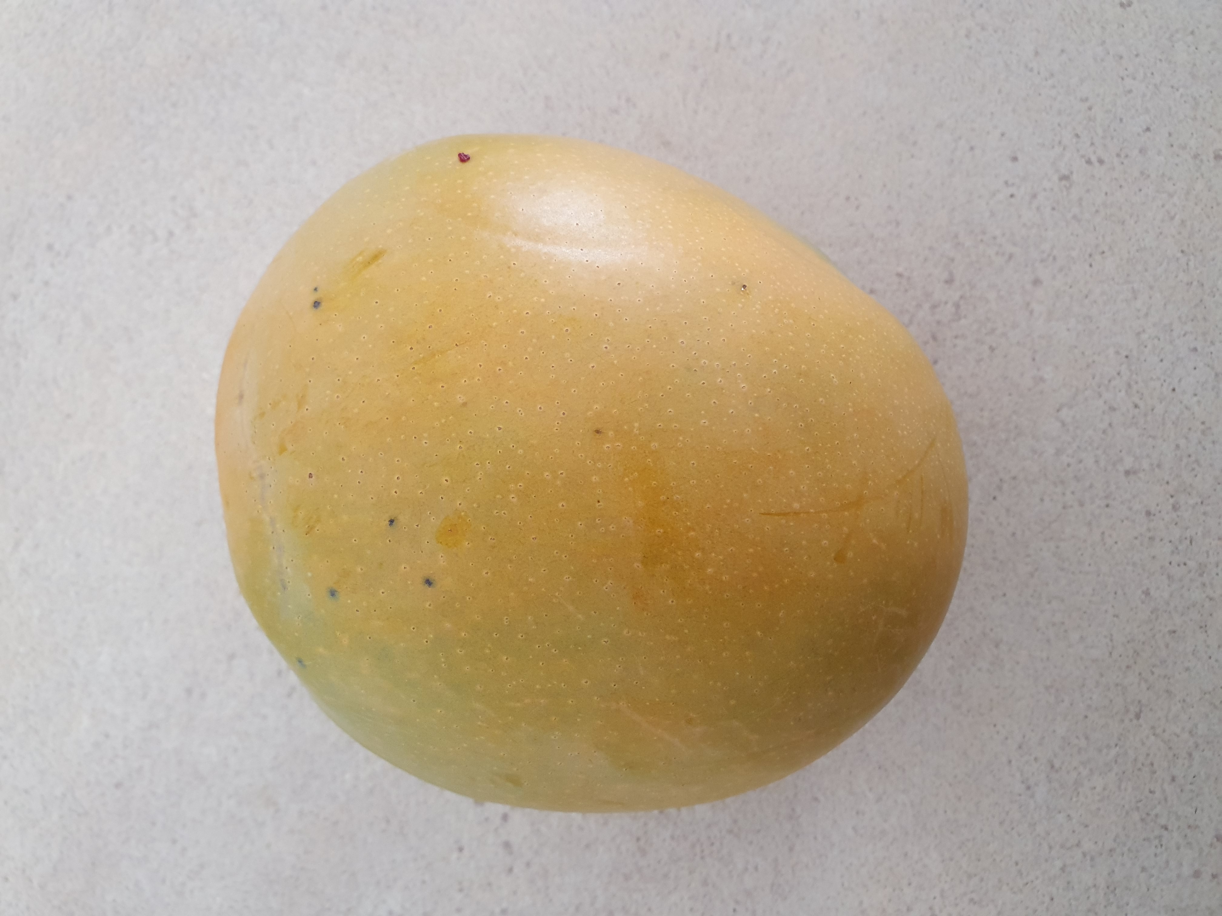 Fist mango  fromt tree I planted