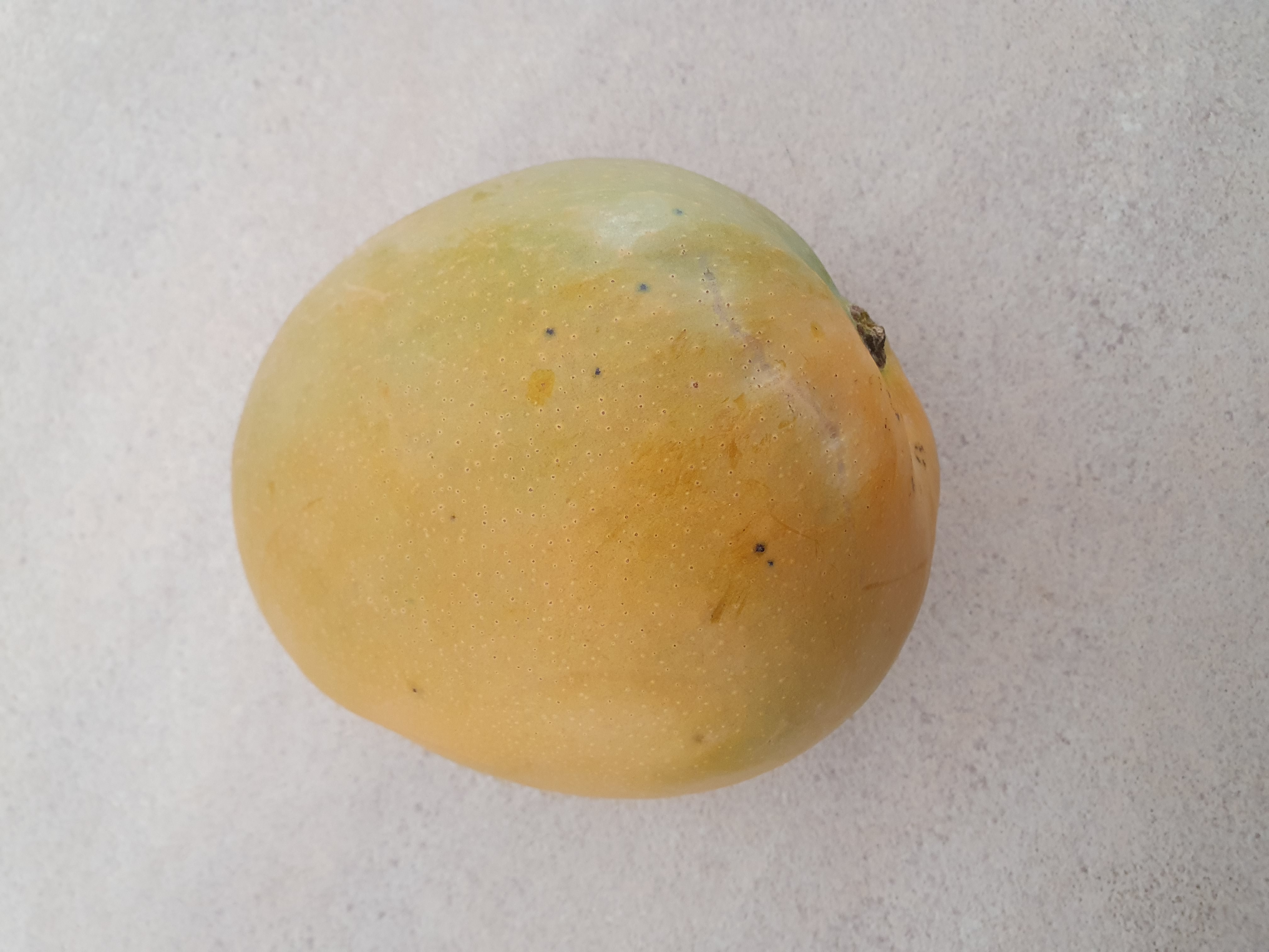 Mango 1st one