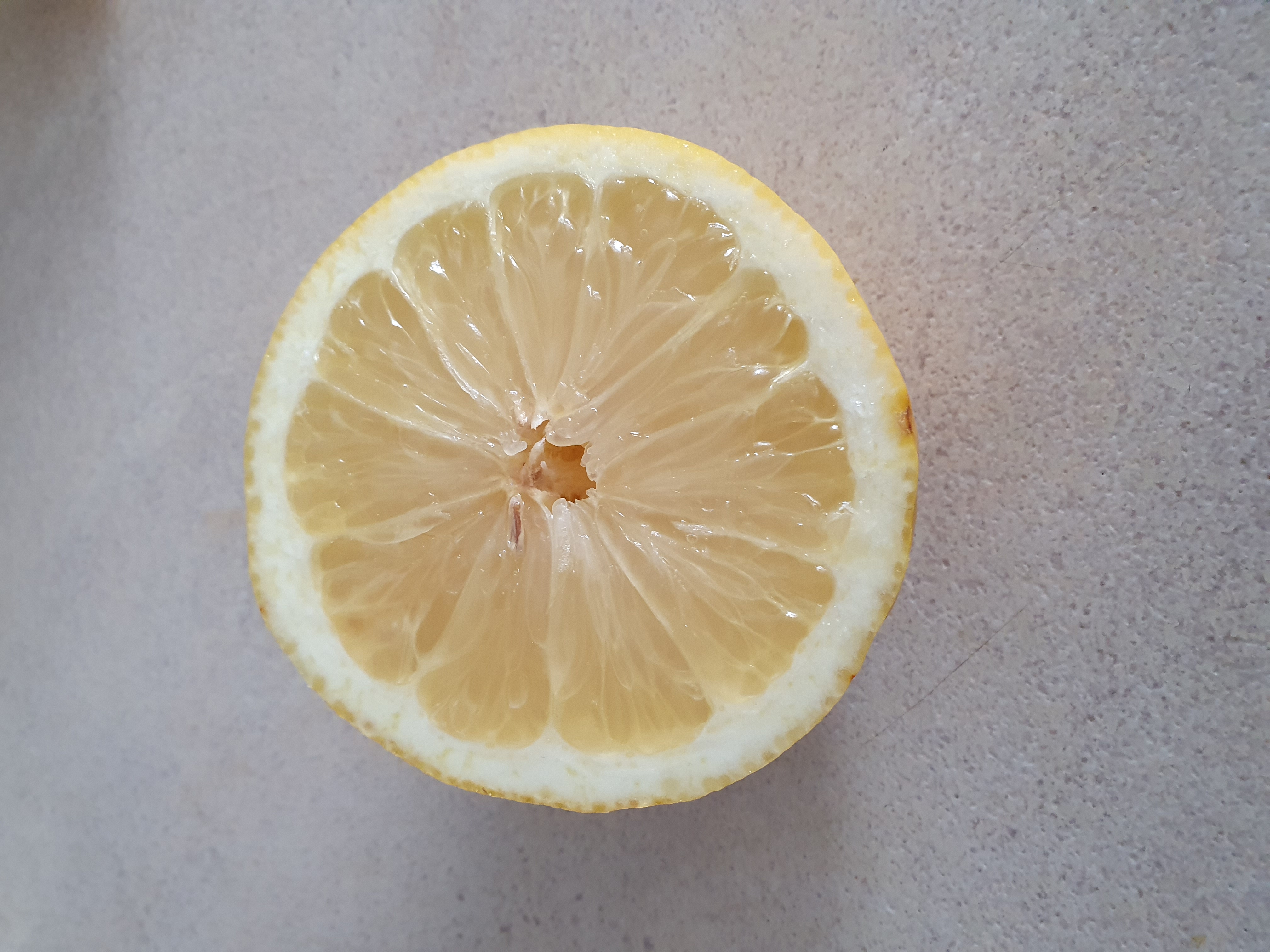 Lemon tree in backyard 